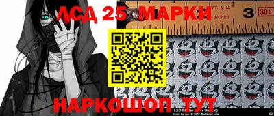 молекула духа Краснодар