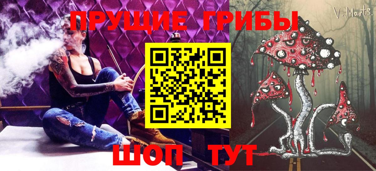 Галлюциногенные грибы Cubensis Черняховск