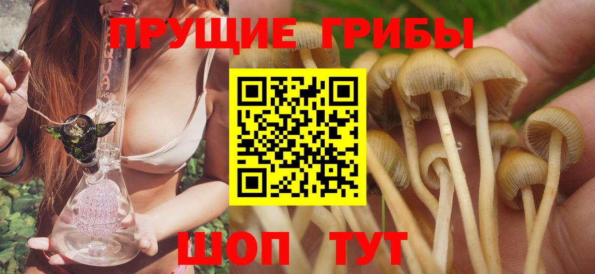 Черняховск  где купить наркоту  Вход с VPN  Галлюциногенные грибы Psilocybe 